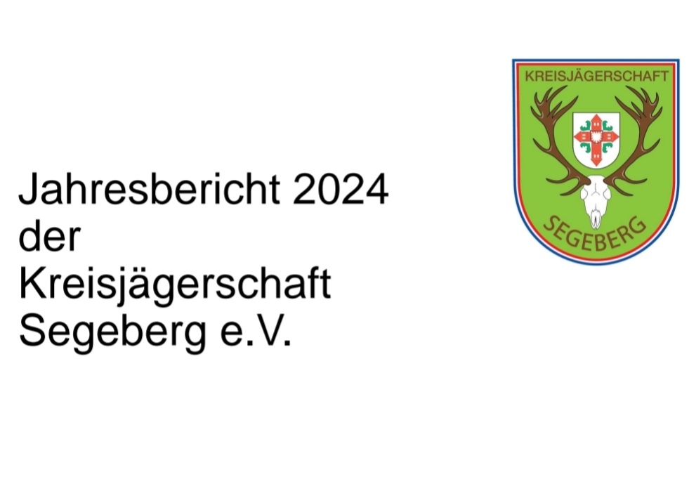 Jahresbericht