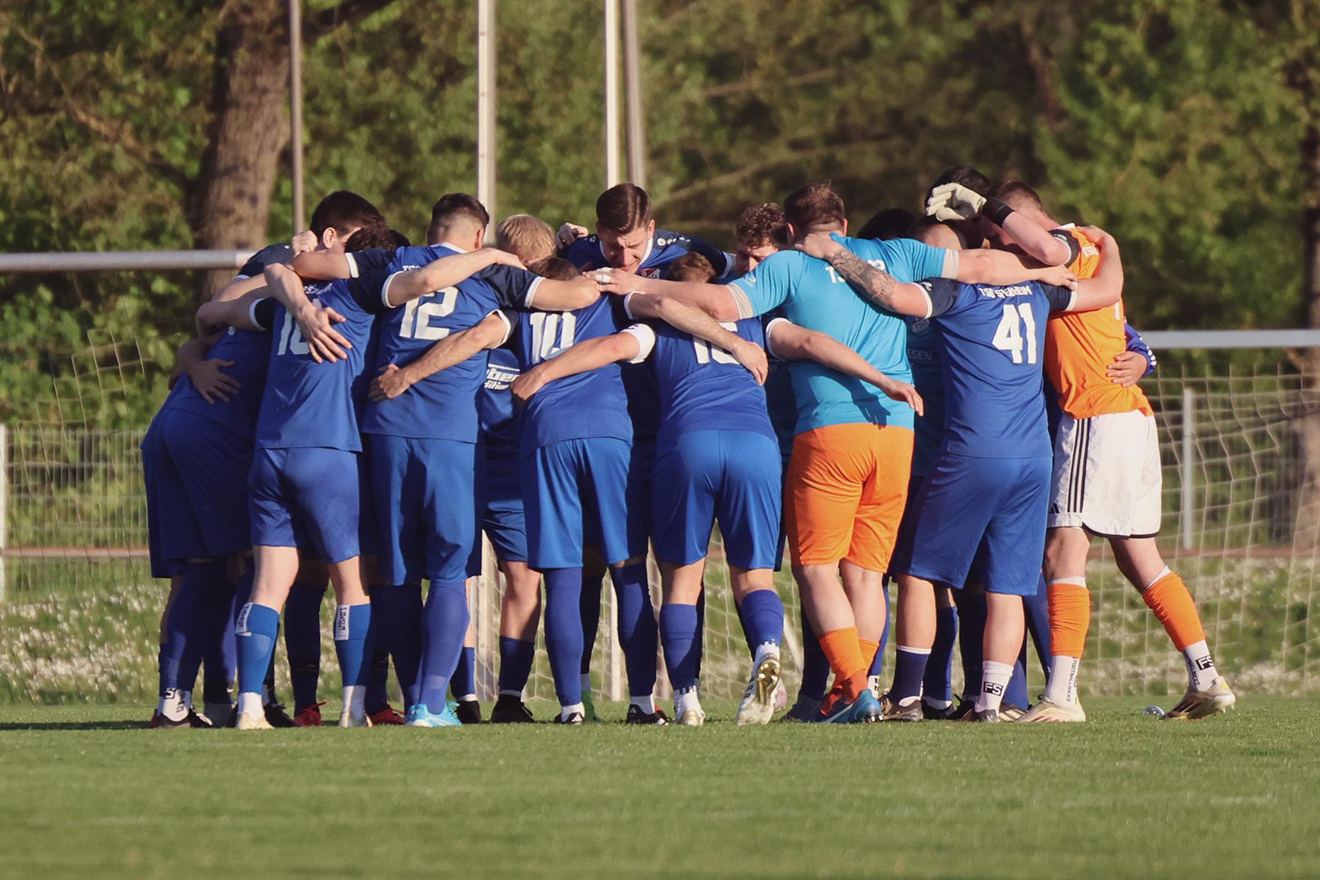 Aktiven TSG Steinheim Abt. Fußball