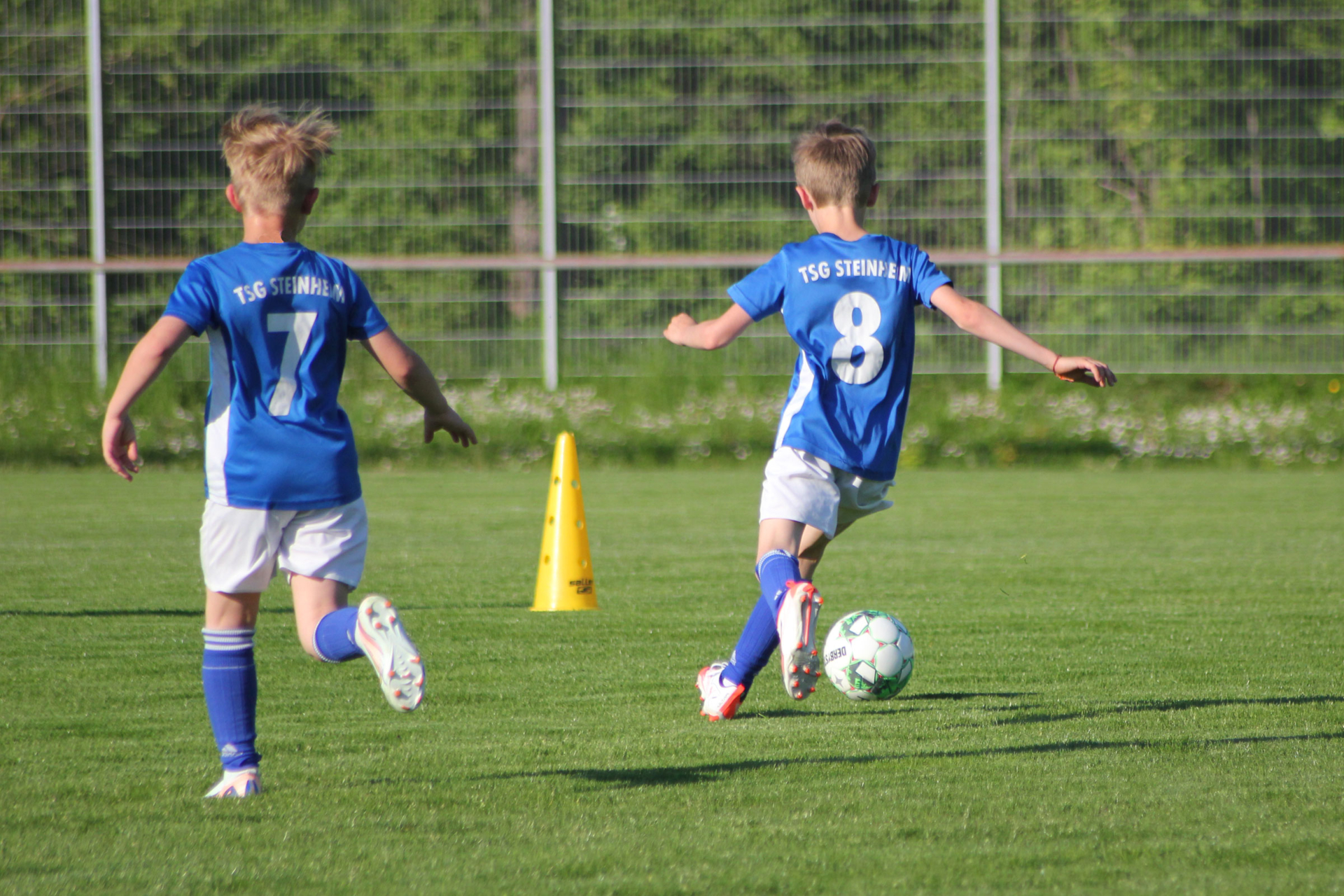 Jugendfußball TSG Steinheim