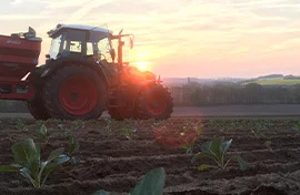 traktor-auf-dem-feld