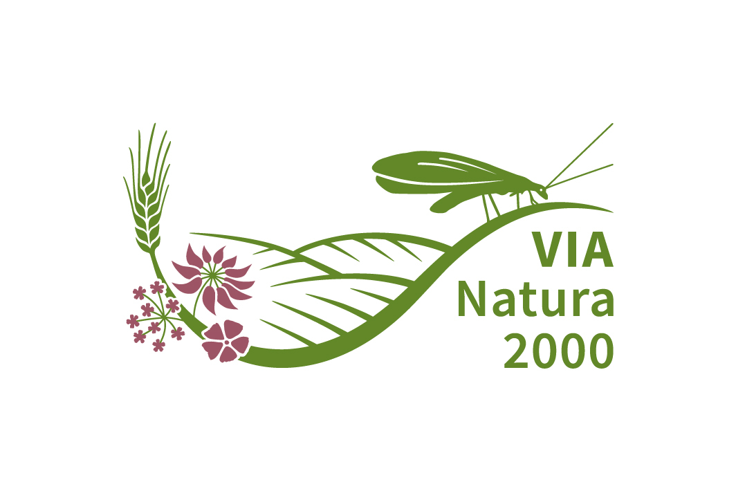 Logo VIA