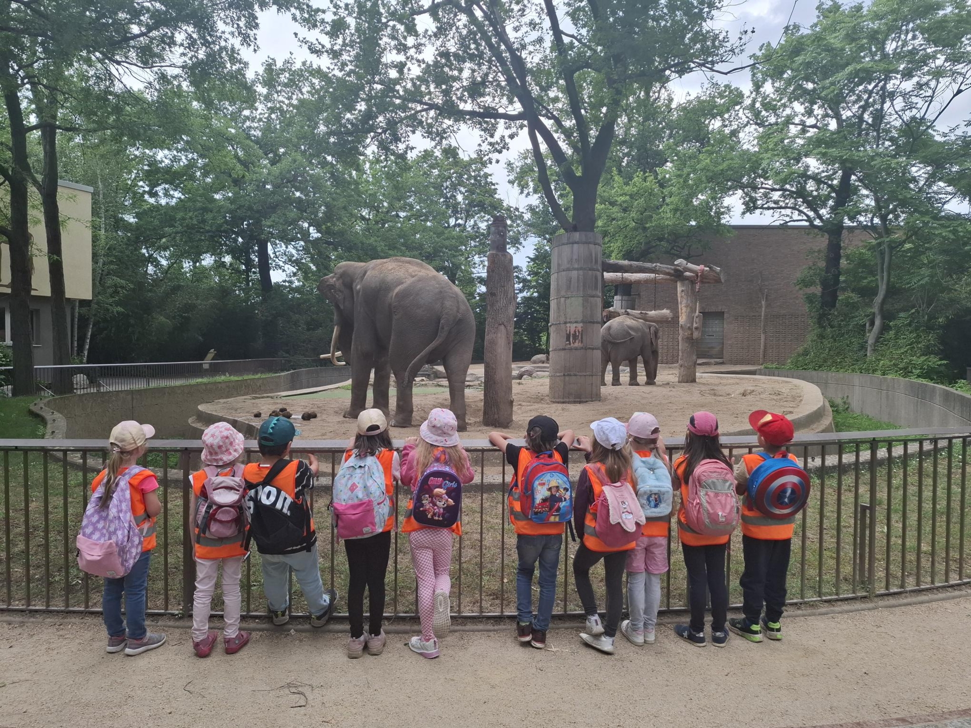 Abschlussfahrt der Vorschulkinder- Wir besuchen den Zoo in Berlin