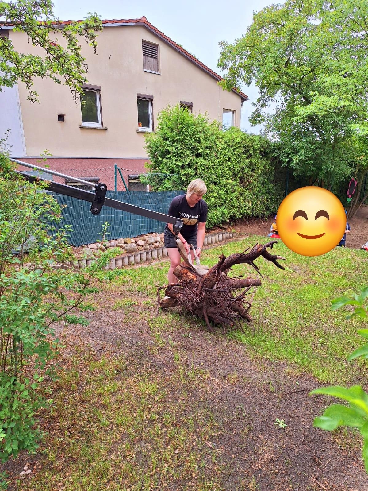 eine Wurzel für unseren neuen Feenwald wird geliefert