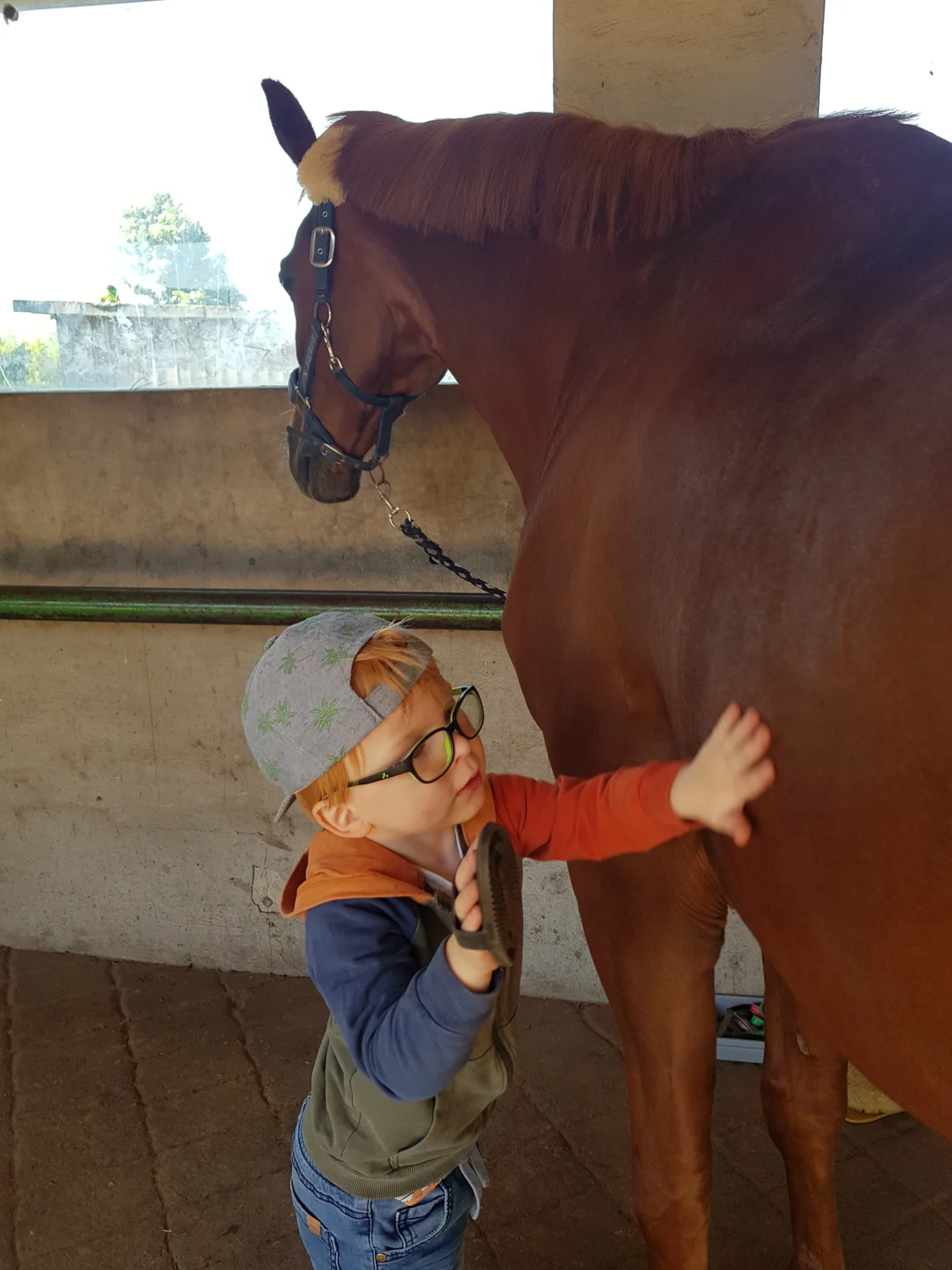 Kind striegelt Pferd