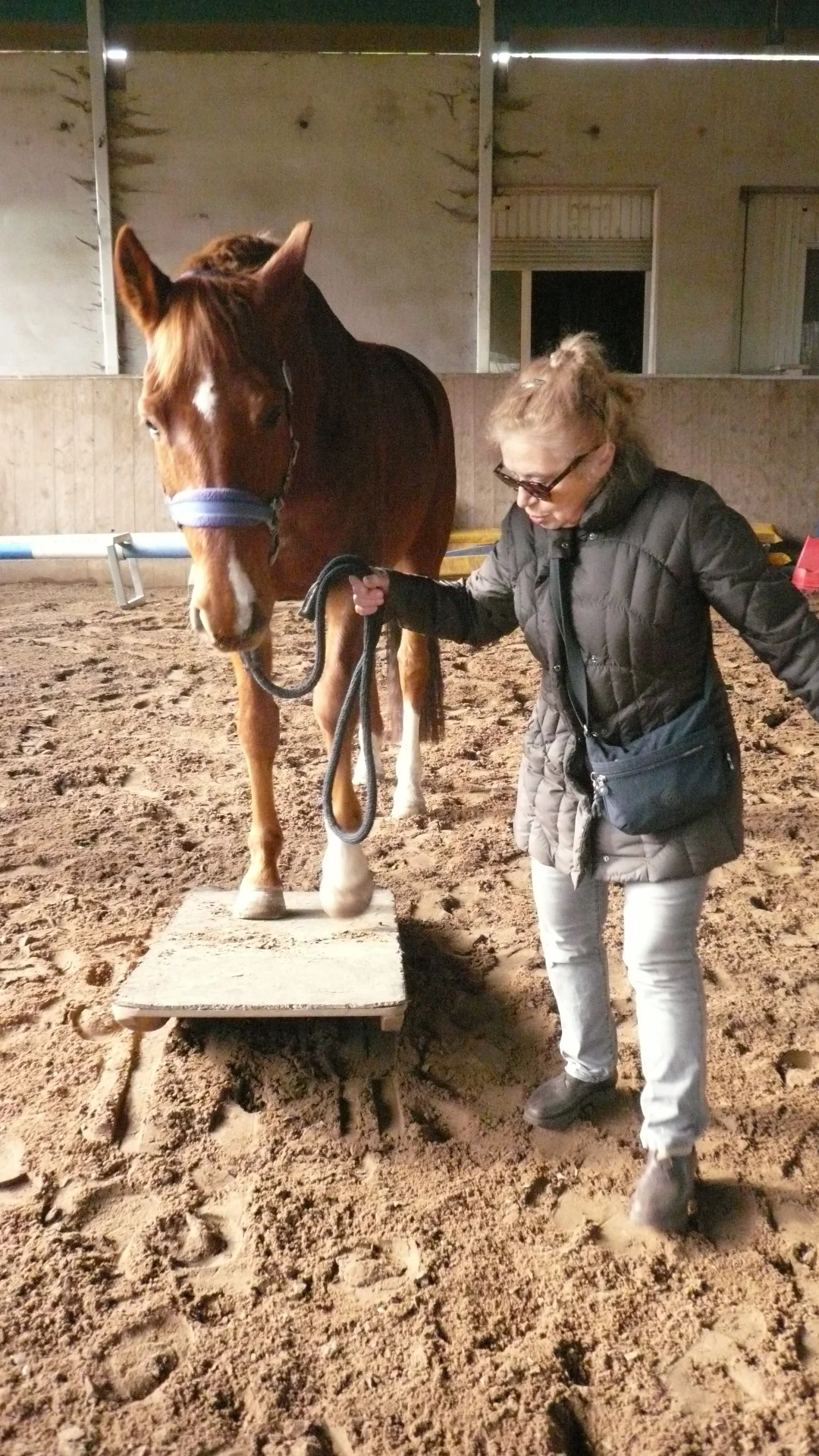 Alte Frau führt Pferd auf Wippe