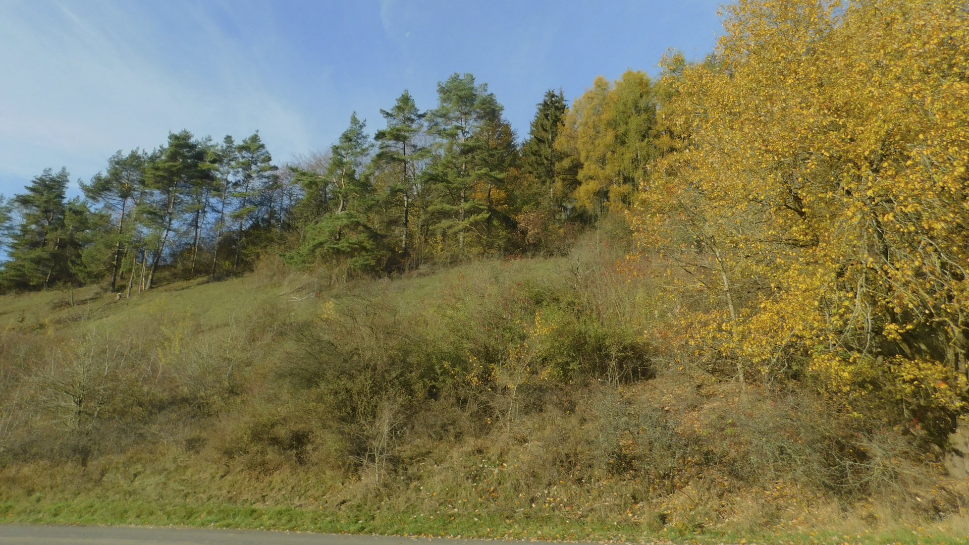 Galgenberg Nov 2020