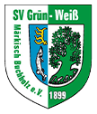 logo-sportverein-gruen-weiss-fz