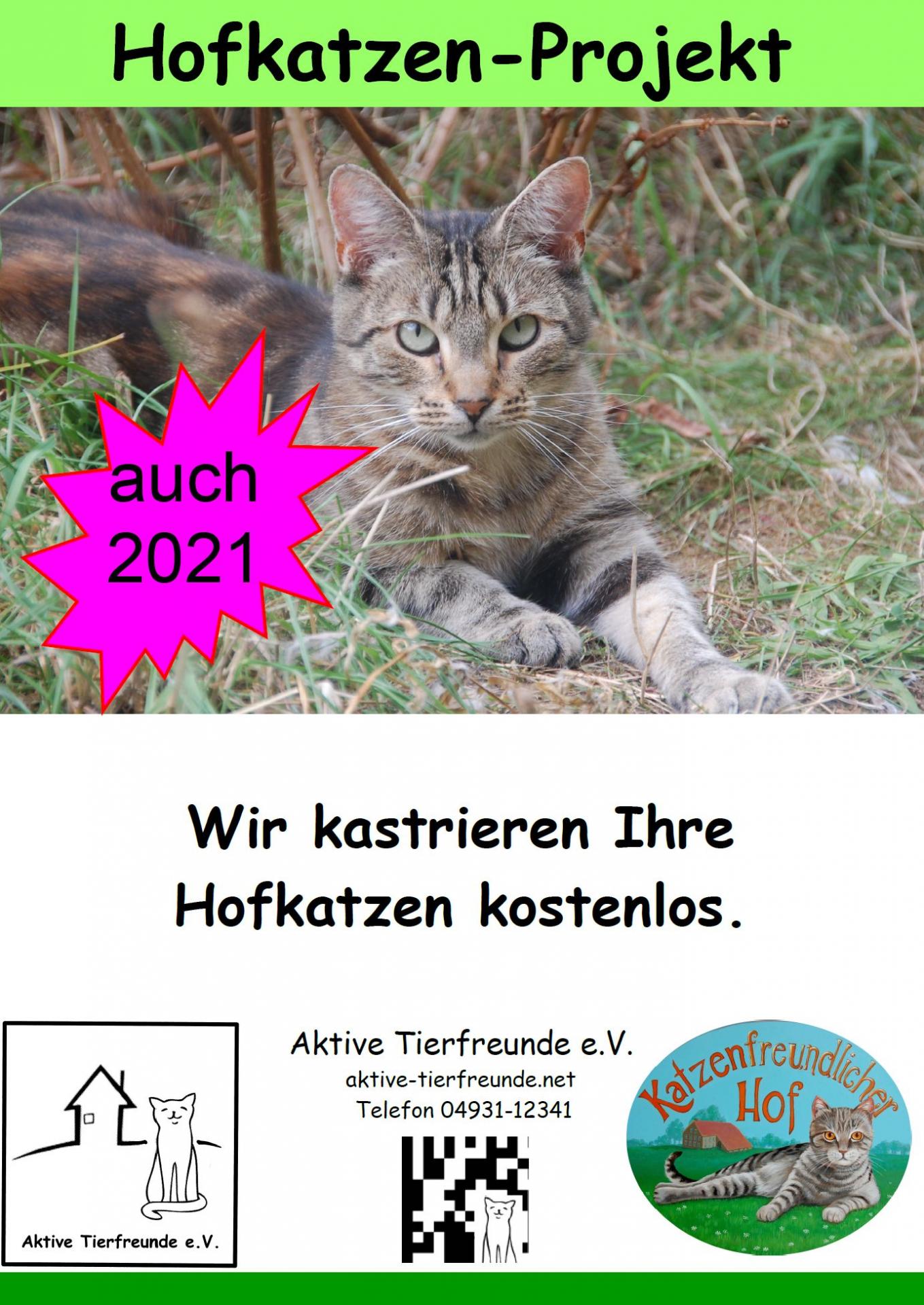 Hofkatzenprojekt 2021 Hofkatzenprojekt 2021