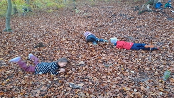 Wald_1