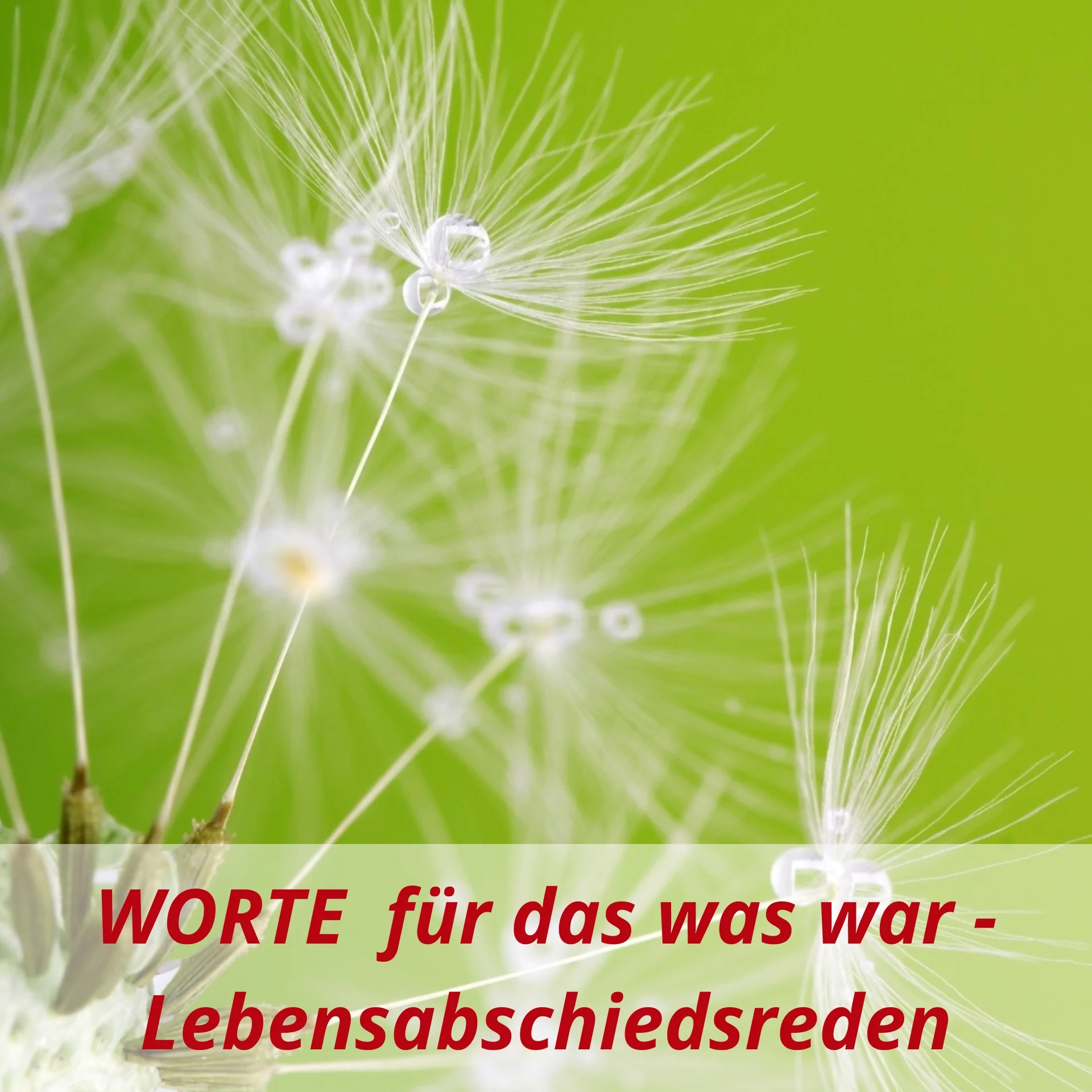 1 Kachel Lebensabschiedsrede