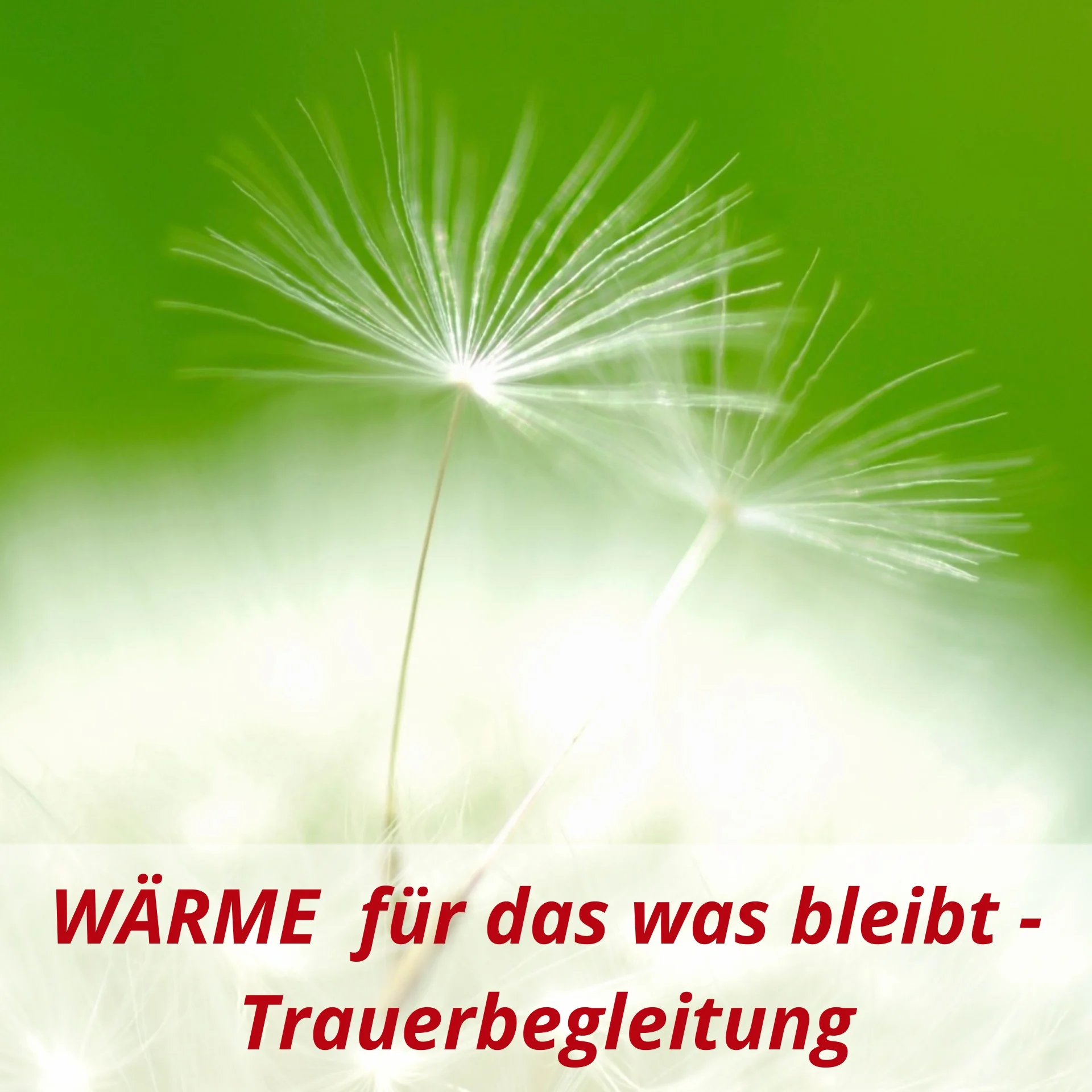 2 Kachel Trauerbegleitung