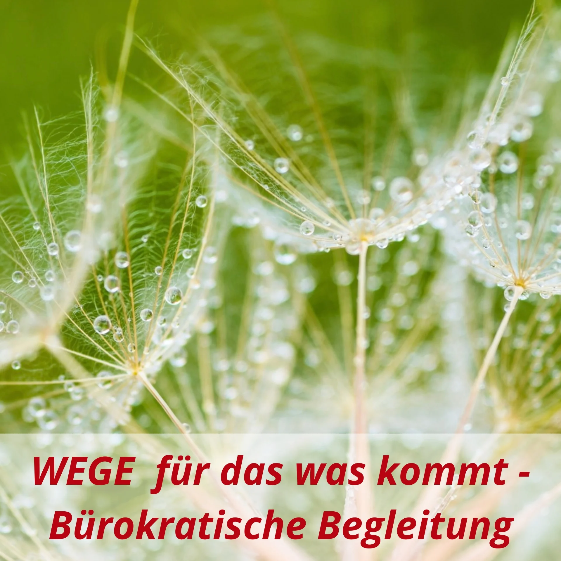 3 Kachel Bürokratische Unterstützung