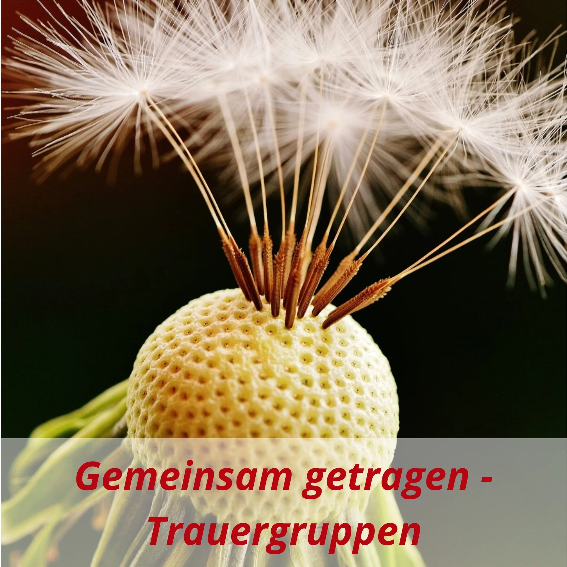 5 Kachel Trauergruppen