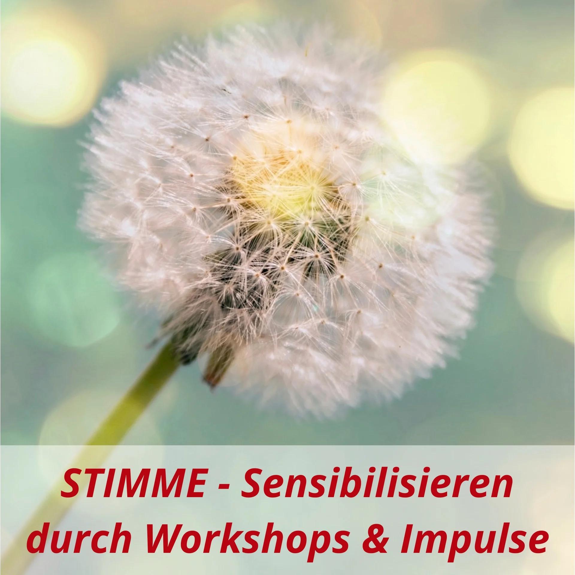7 Kachel Sensibilisierung