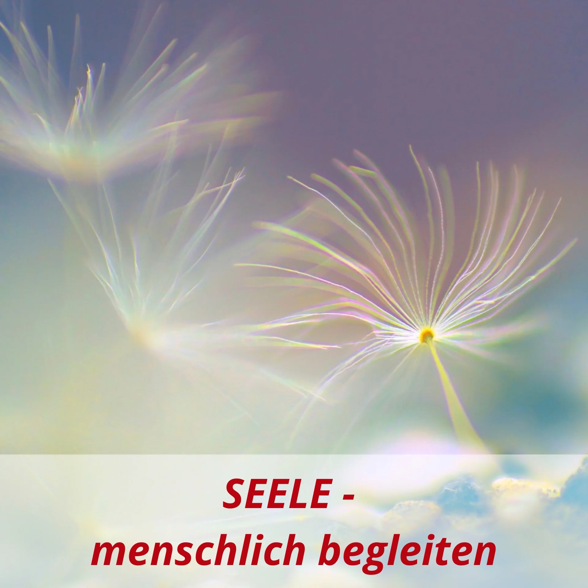 8 Kachel Begleitung