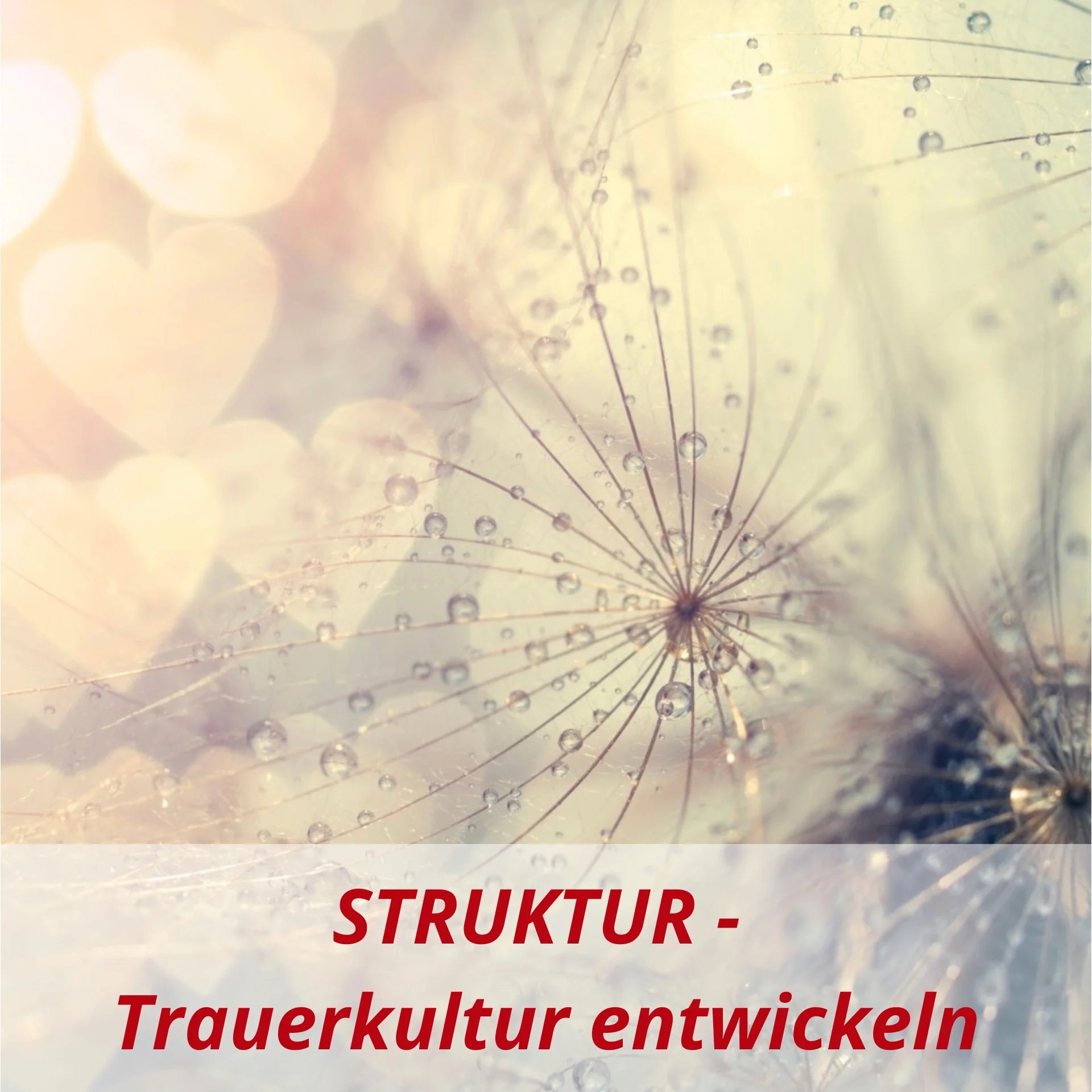 9 Kachel Trauerkultur entwicklen