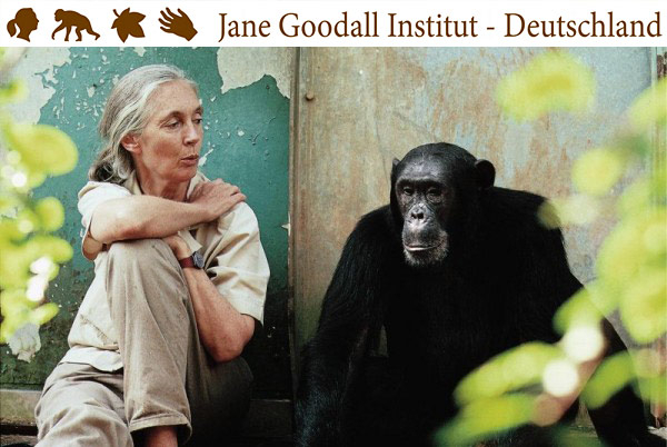 Jane-goodall-institut-deutschland