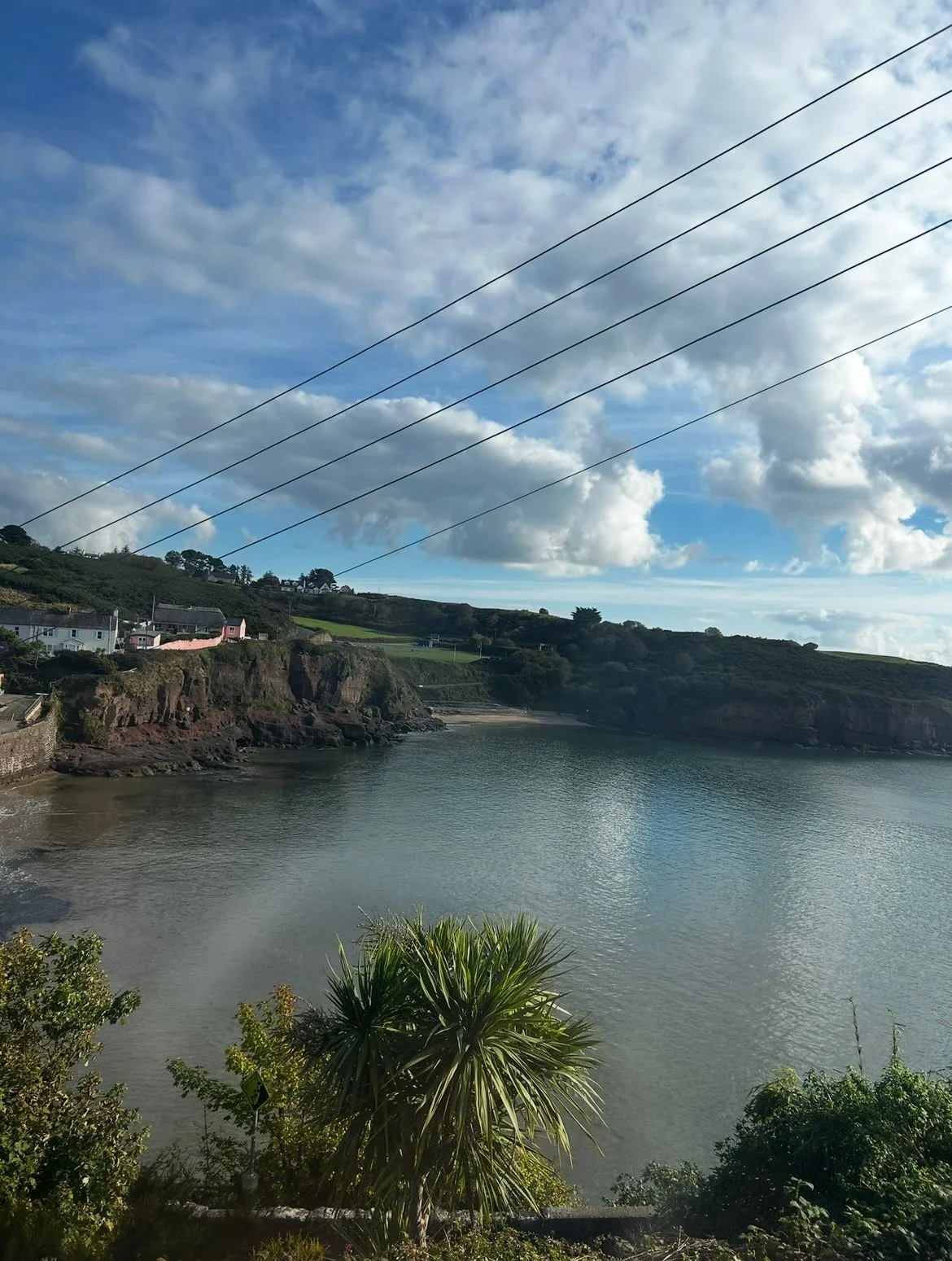 Ersamus Irland (2)