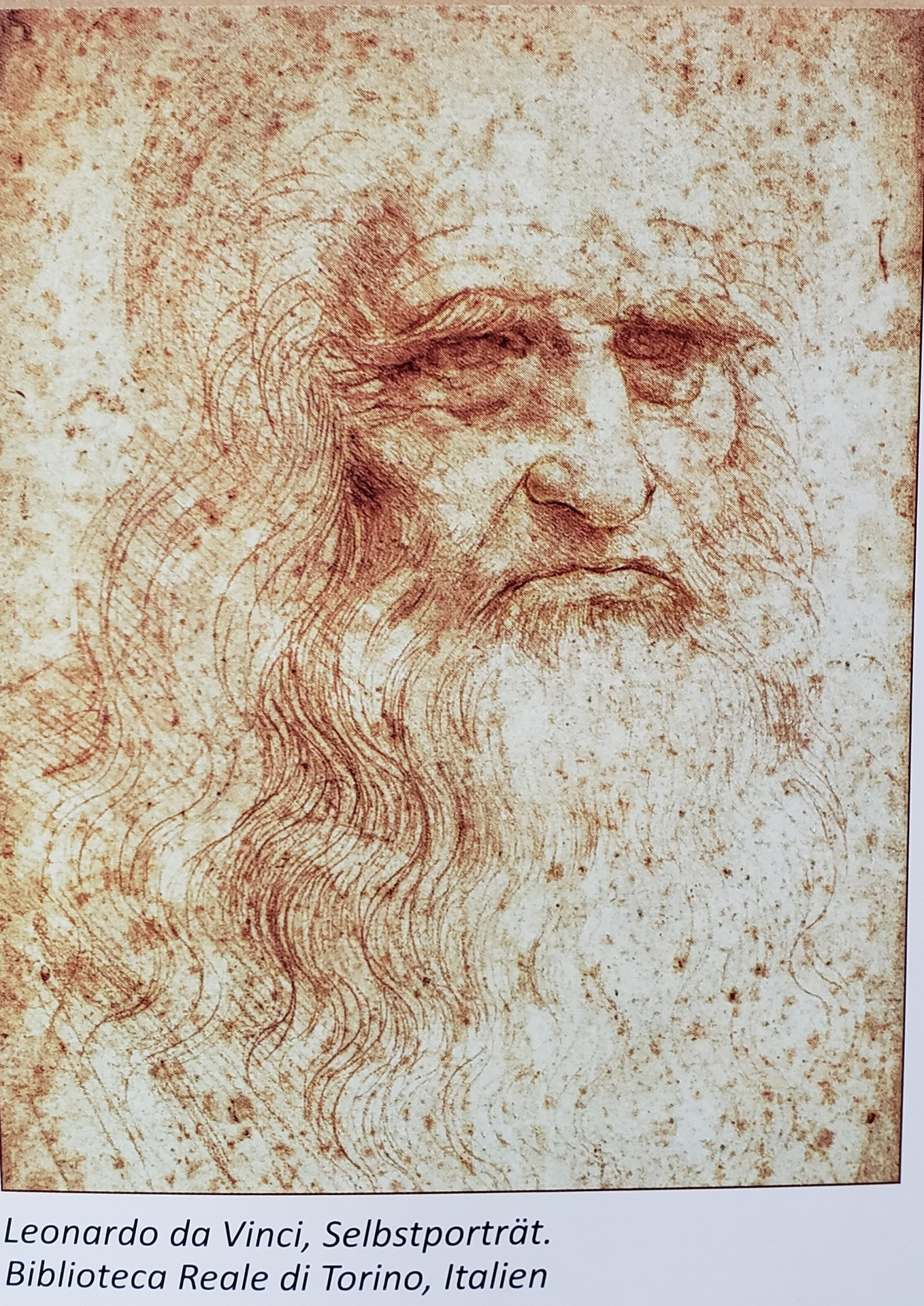 Leonard da Vinci Buch