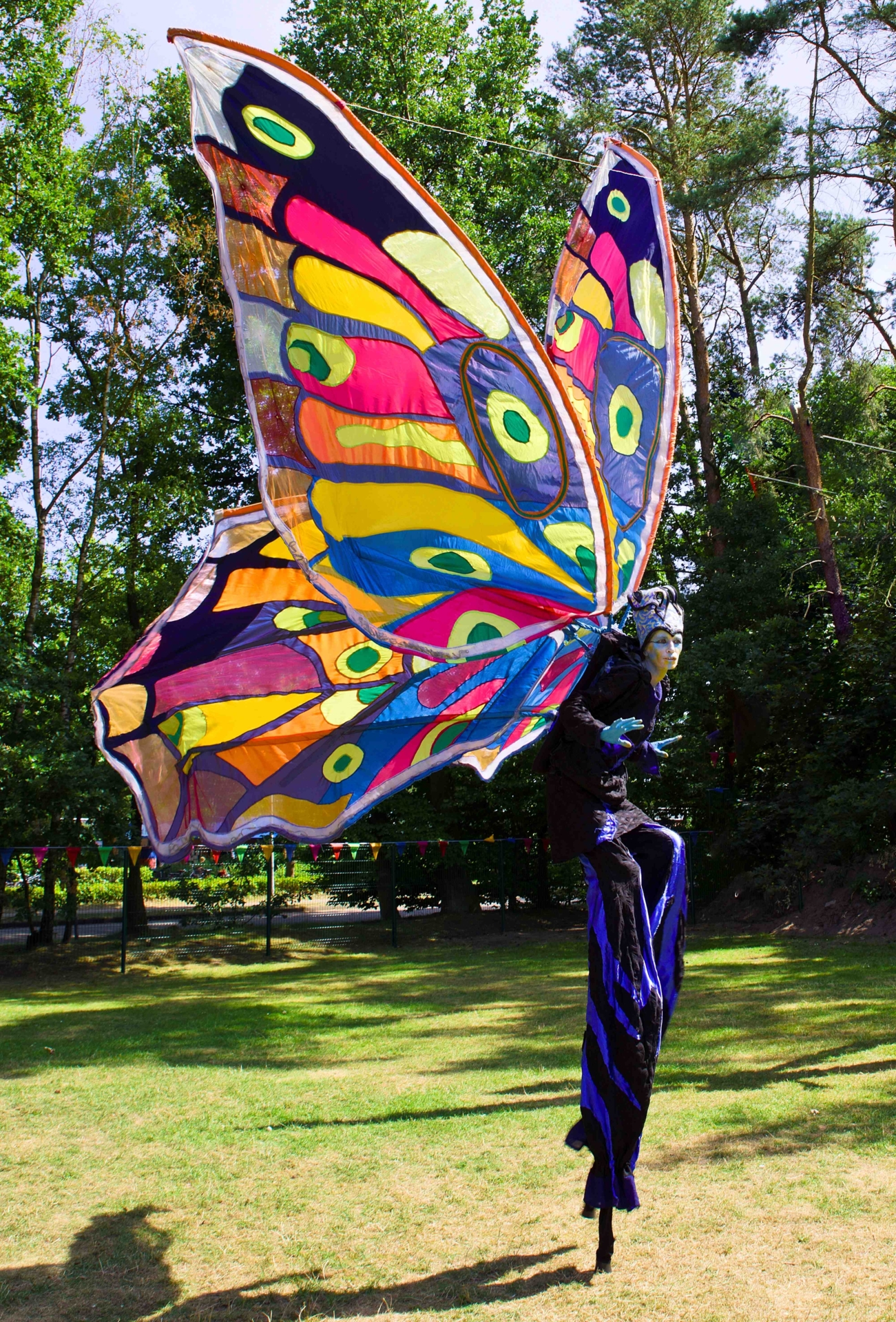 Schmetterling