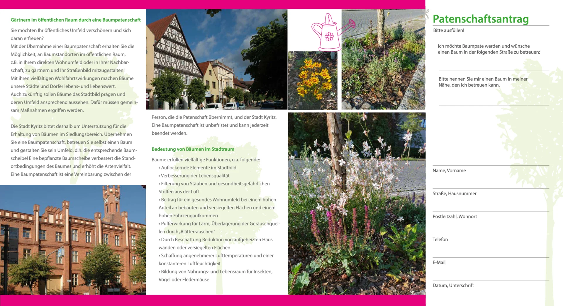 Flyer Baumpatenschaft 2