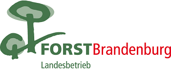 Forst Brandenburg Landesbetrieb