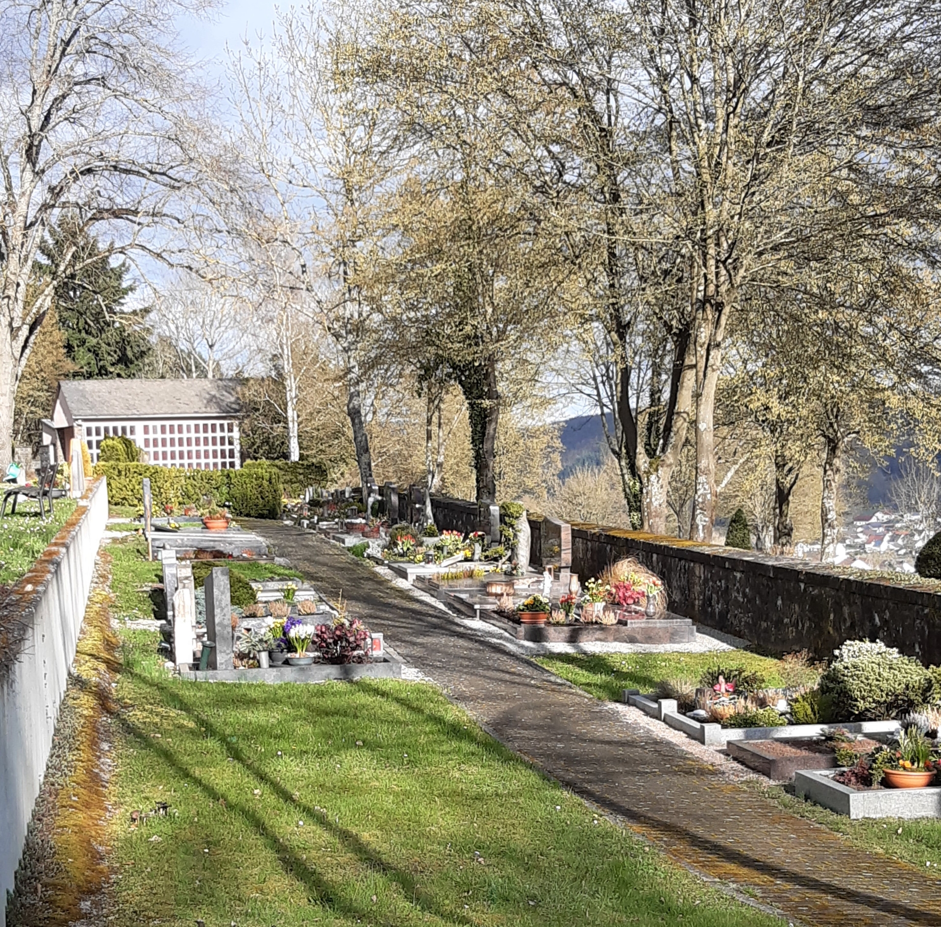 Friedhof Hochstetten