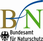 BFN