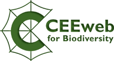 logo-1