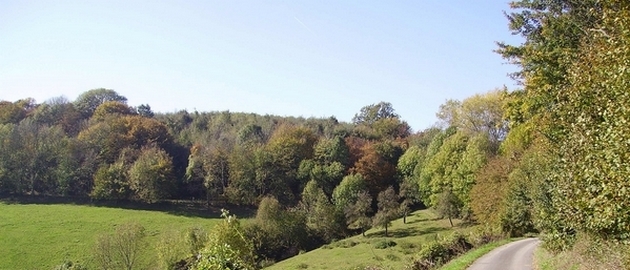 Workshop: Mobility in rural areas - Products and financing