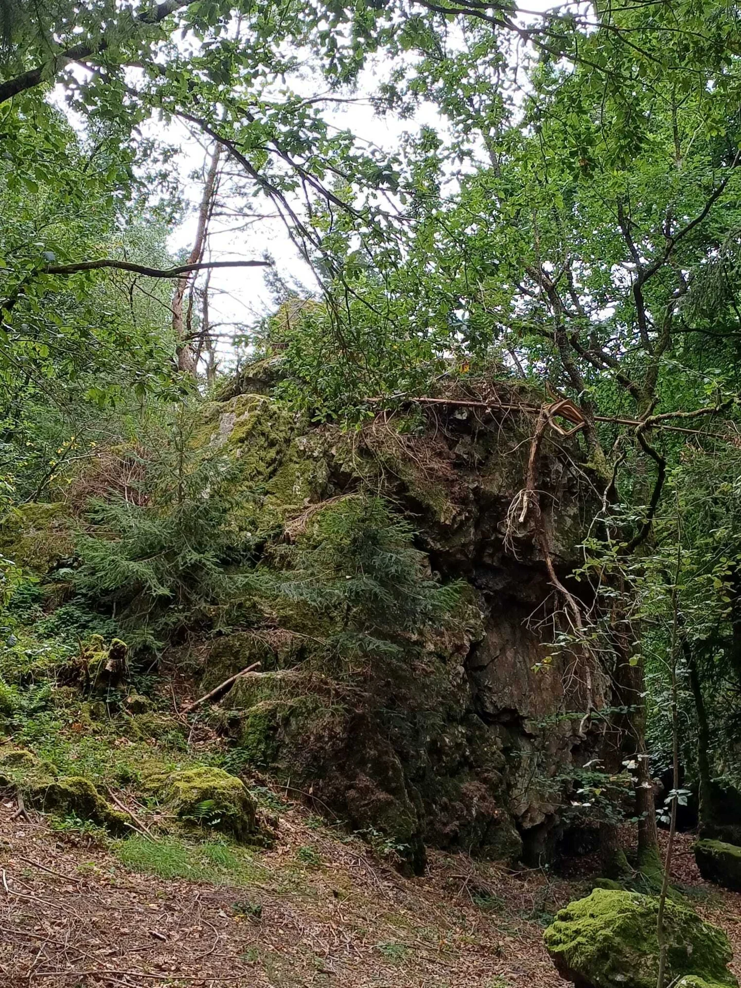 Bild_Seifringstein_1