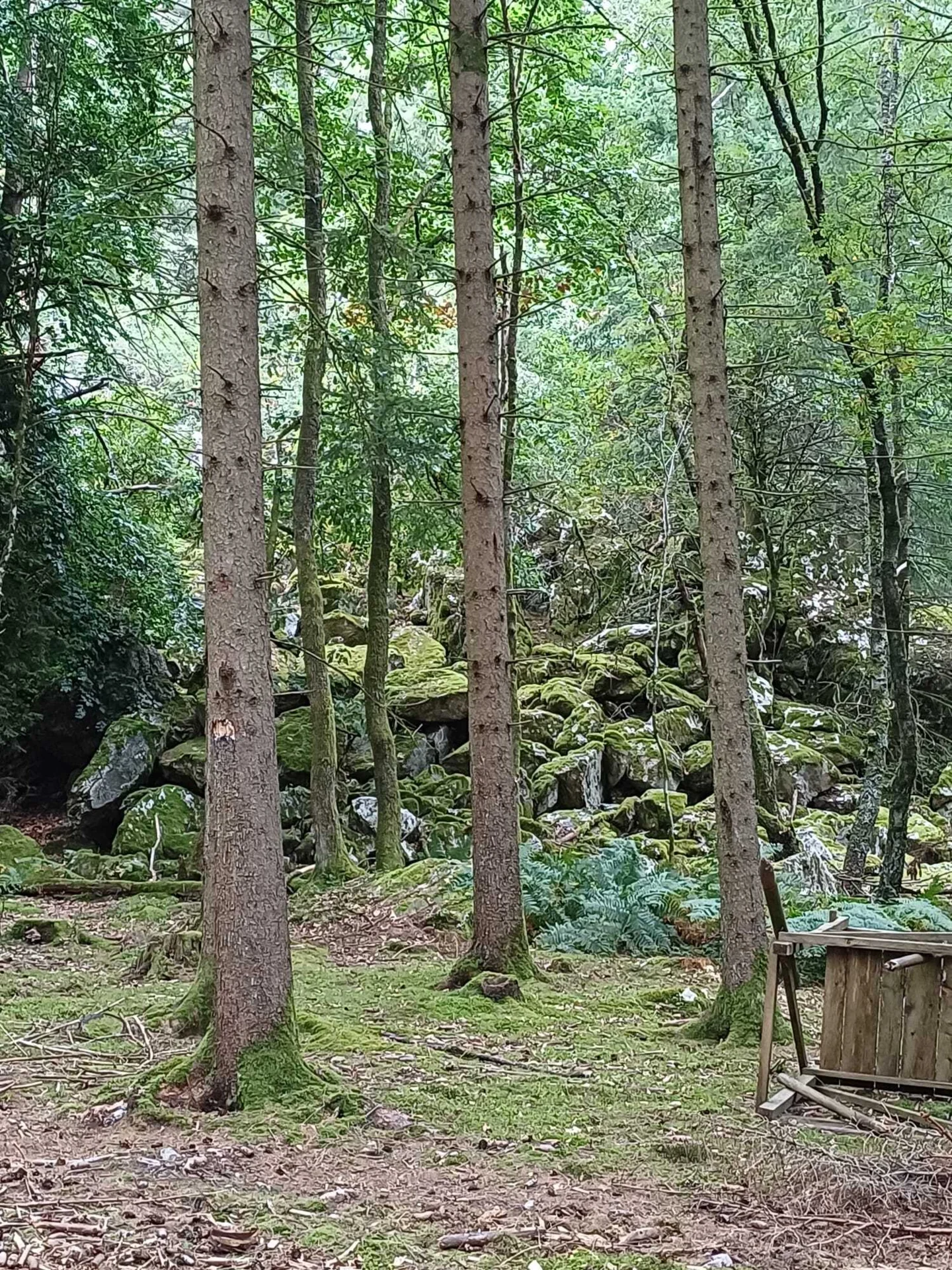 Bild_Zwerge_Vom Seifringstein_1