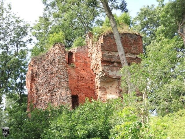 Burgruine Stuer