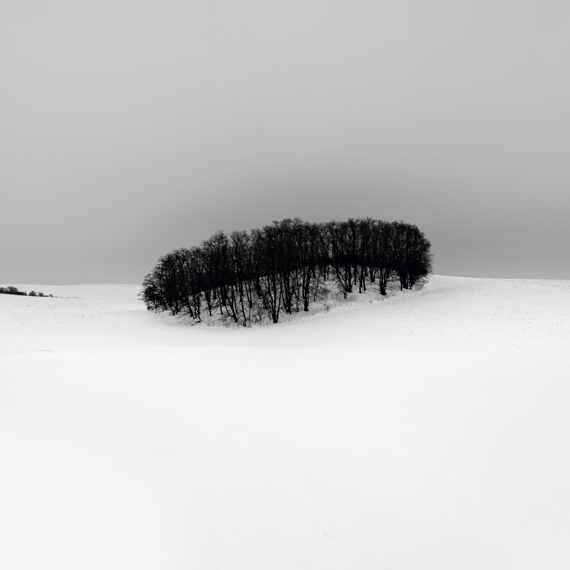 HARTWIG KLAPPERT - Dobberin_WI_28 - Kopie II