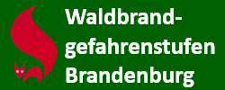 Waldbrandgefahrenstufe Brandenburg