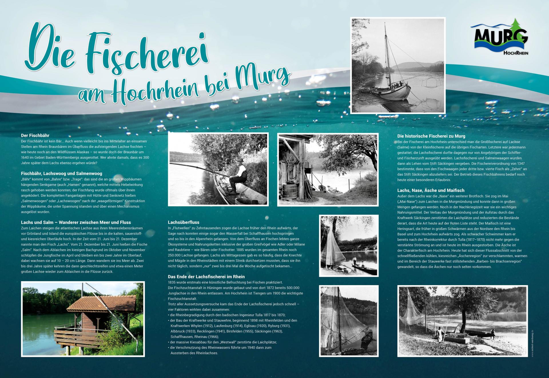 Fischerei am Hochrhein