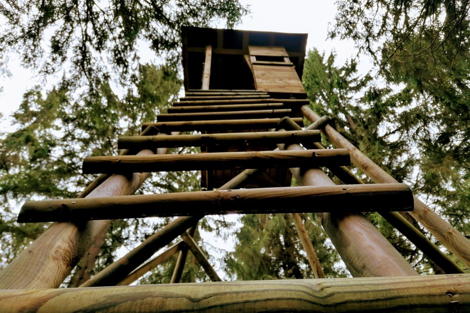 Hochstand