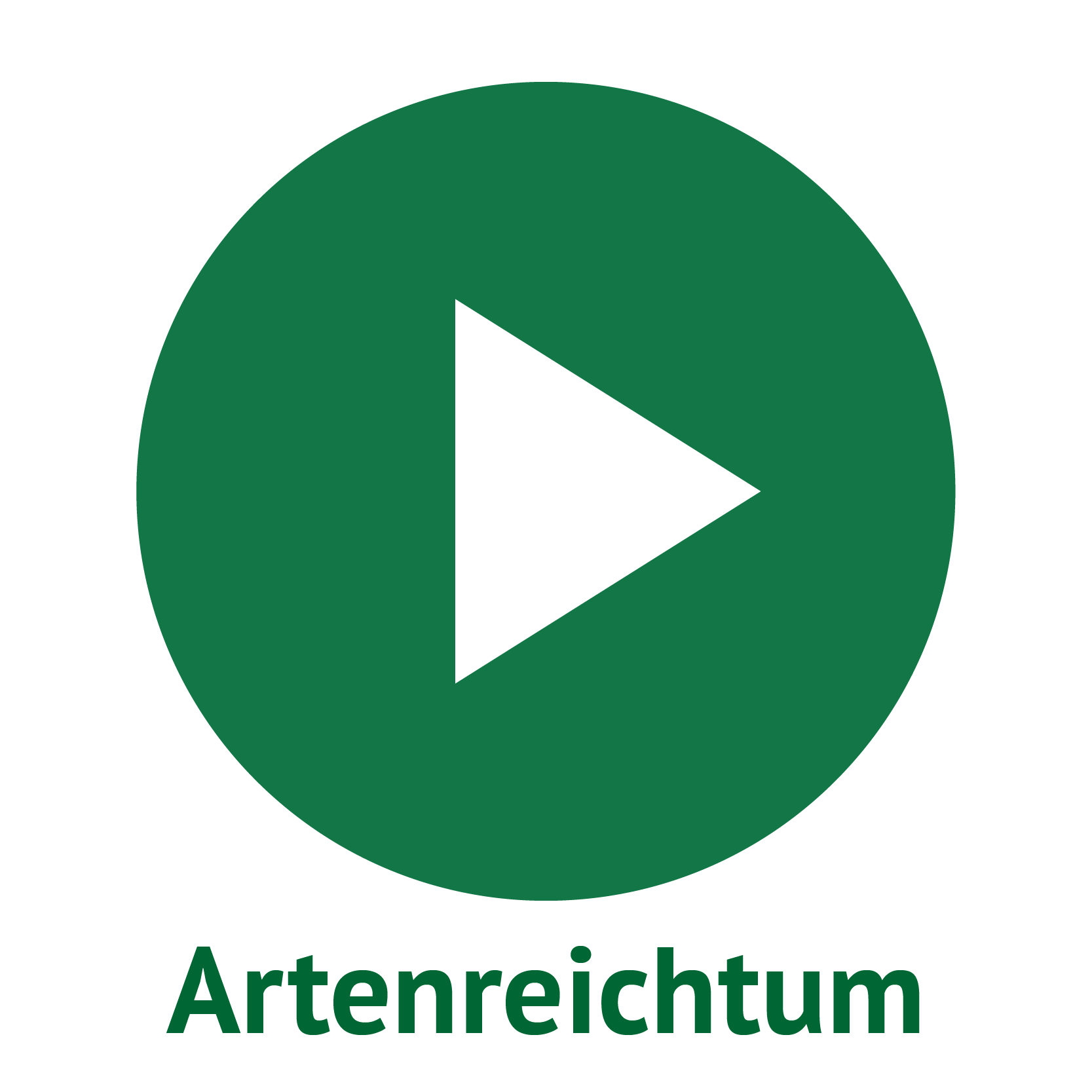 Play1_Artenreichtum