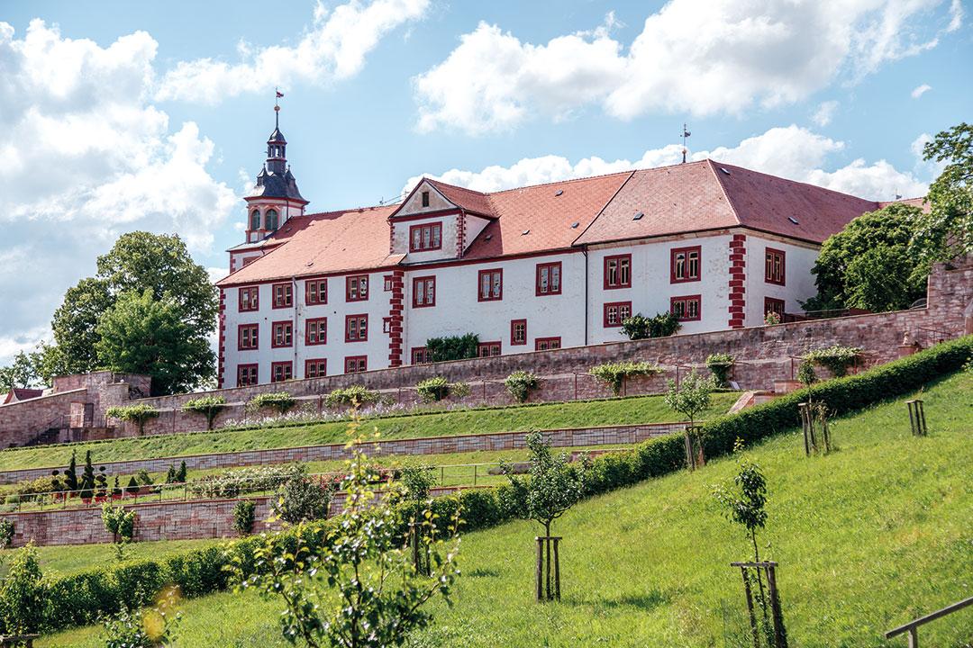 Schloss-Wilhelmsburg