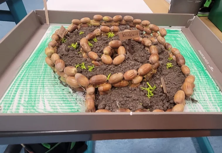 Eine Kräuterschnecke