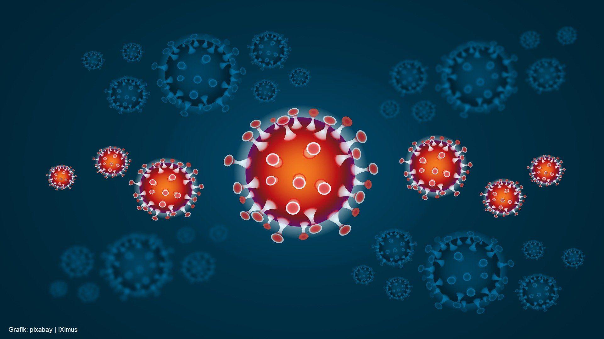 Coronavirus Coronavirus
