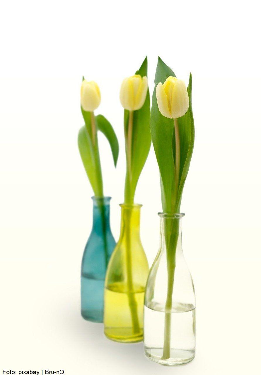 Ostern Ostern