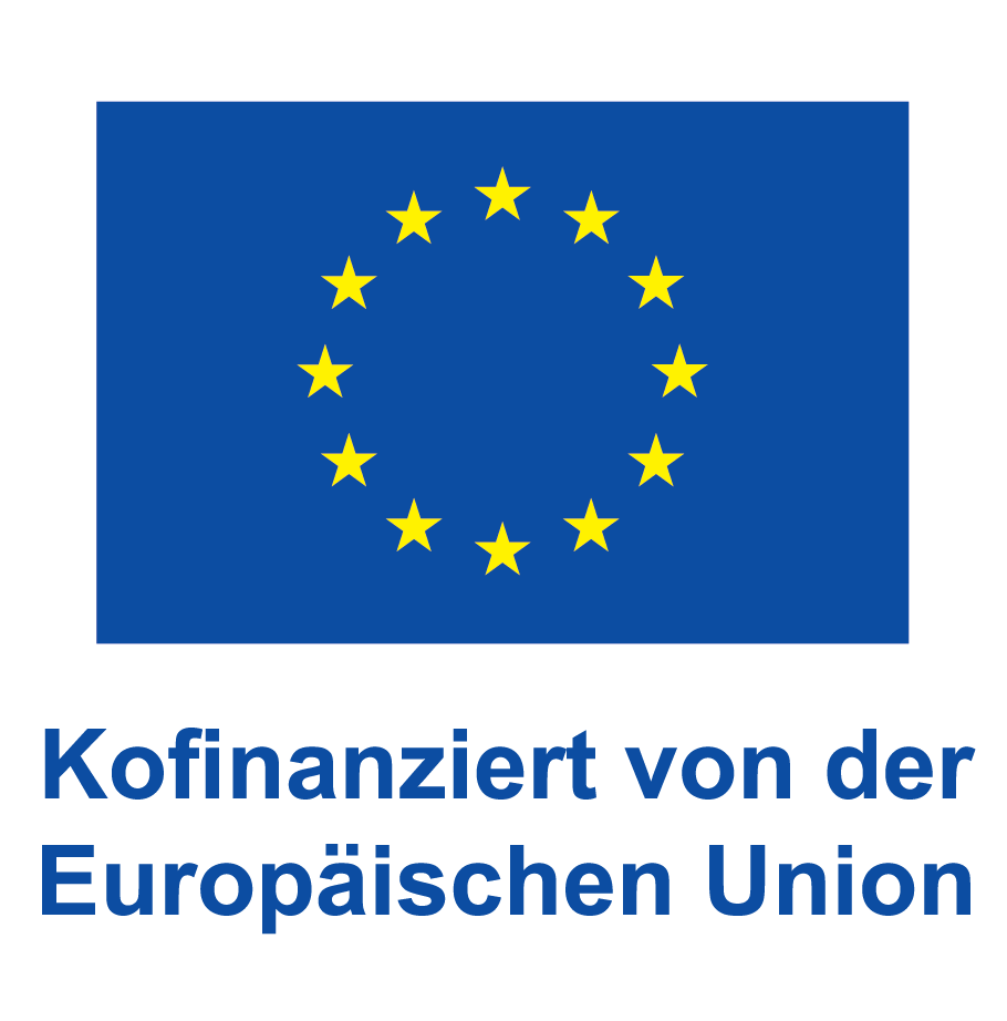 DE V Kofinanziert von der Europäischen Union_POS