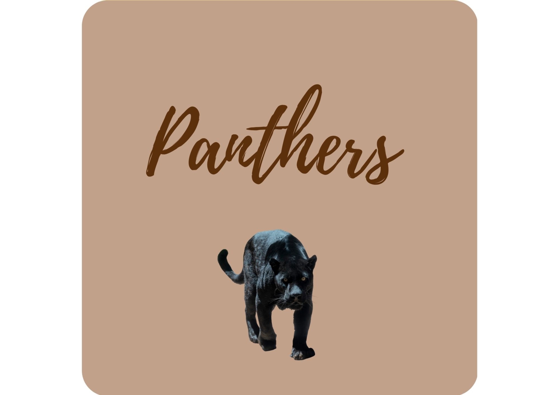 panthers 5