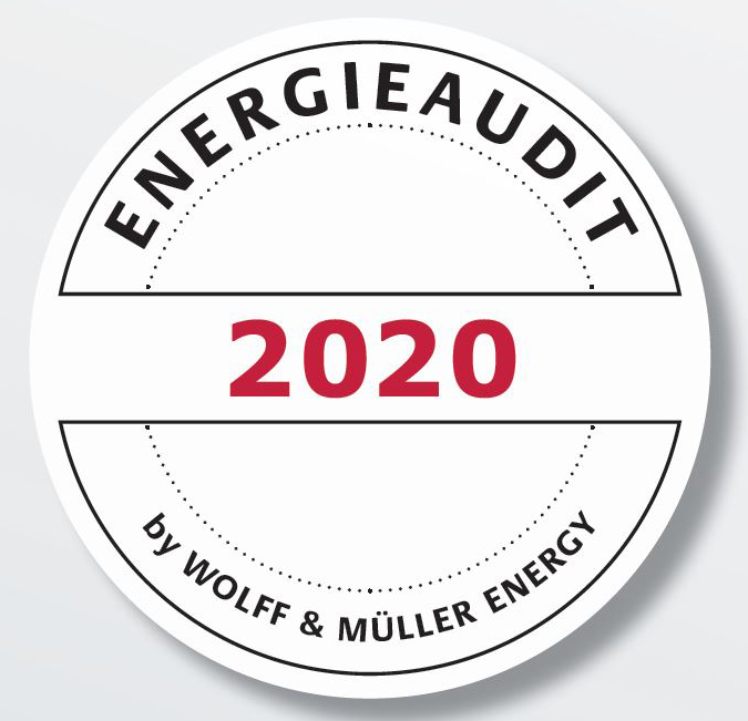 Logo Energieaudit 2020