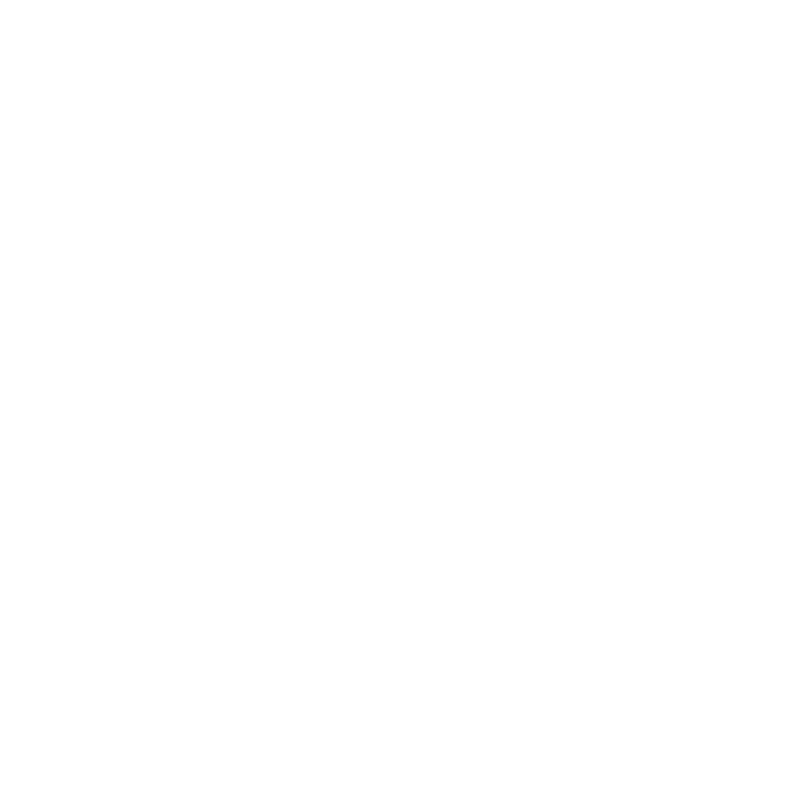 web Icon white
