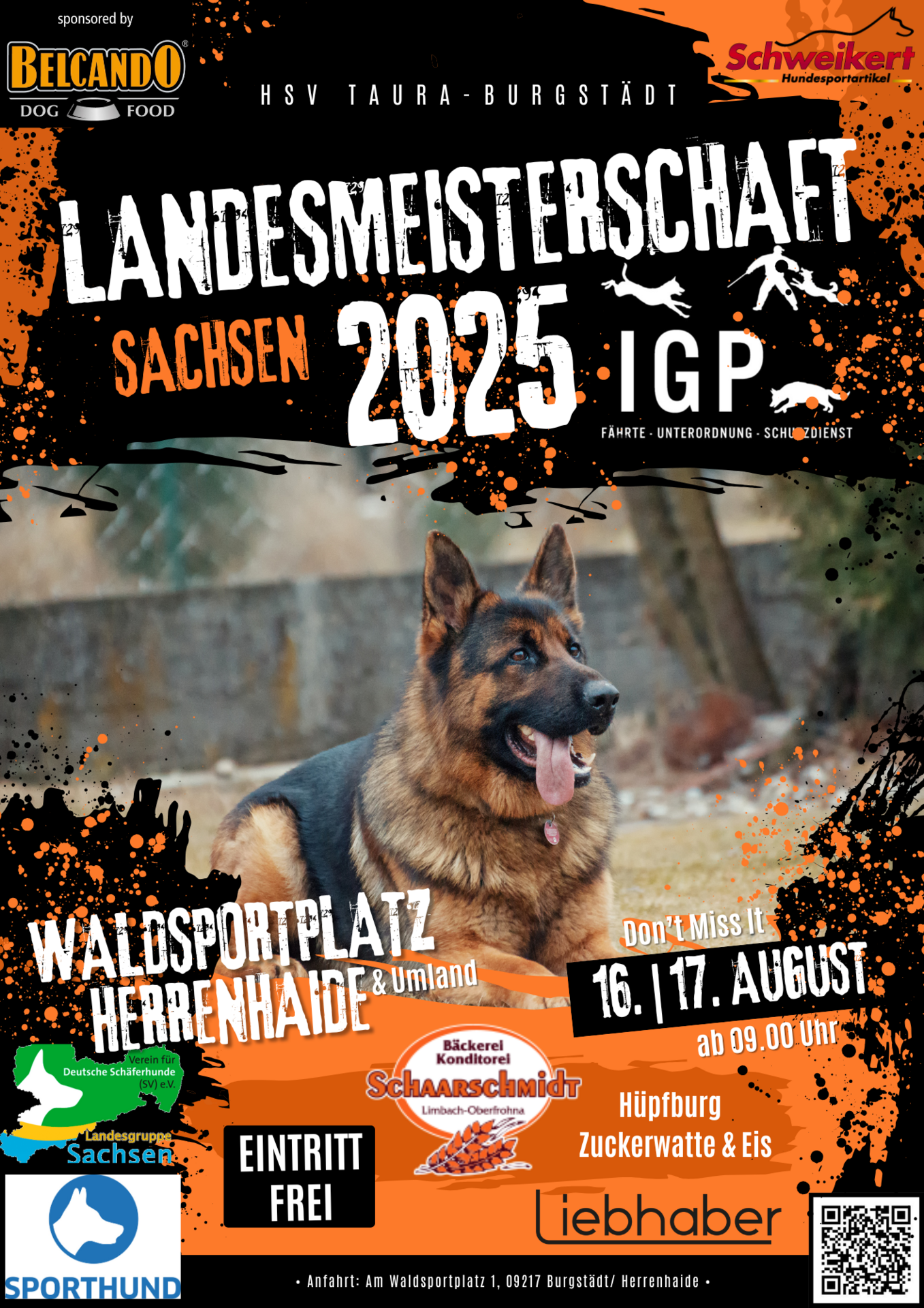 Hundesportverein_Landesmeisterschaft IGP