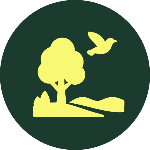 Piktogramm - Natur & Umgebung