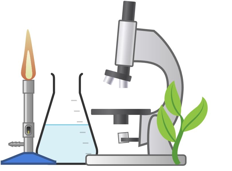 Bio Chemie