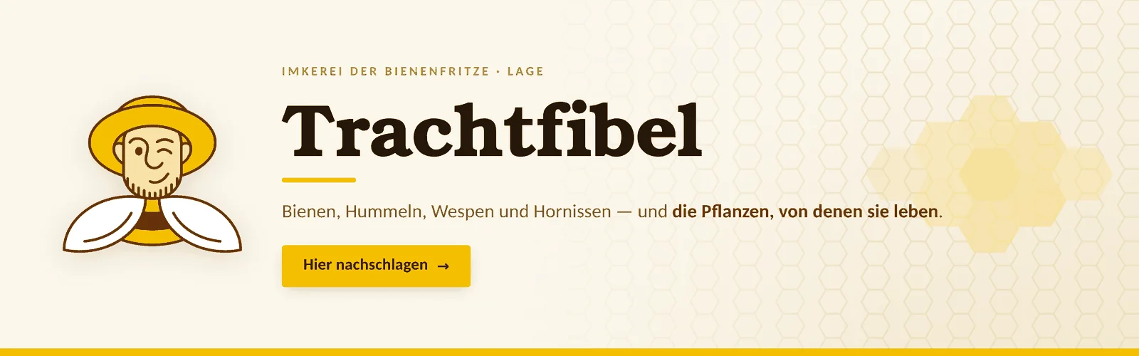 Trachtfibel